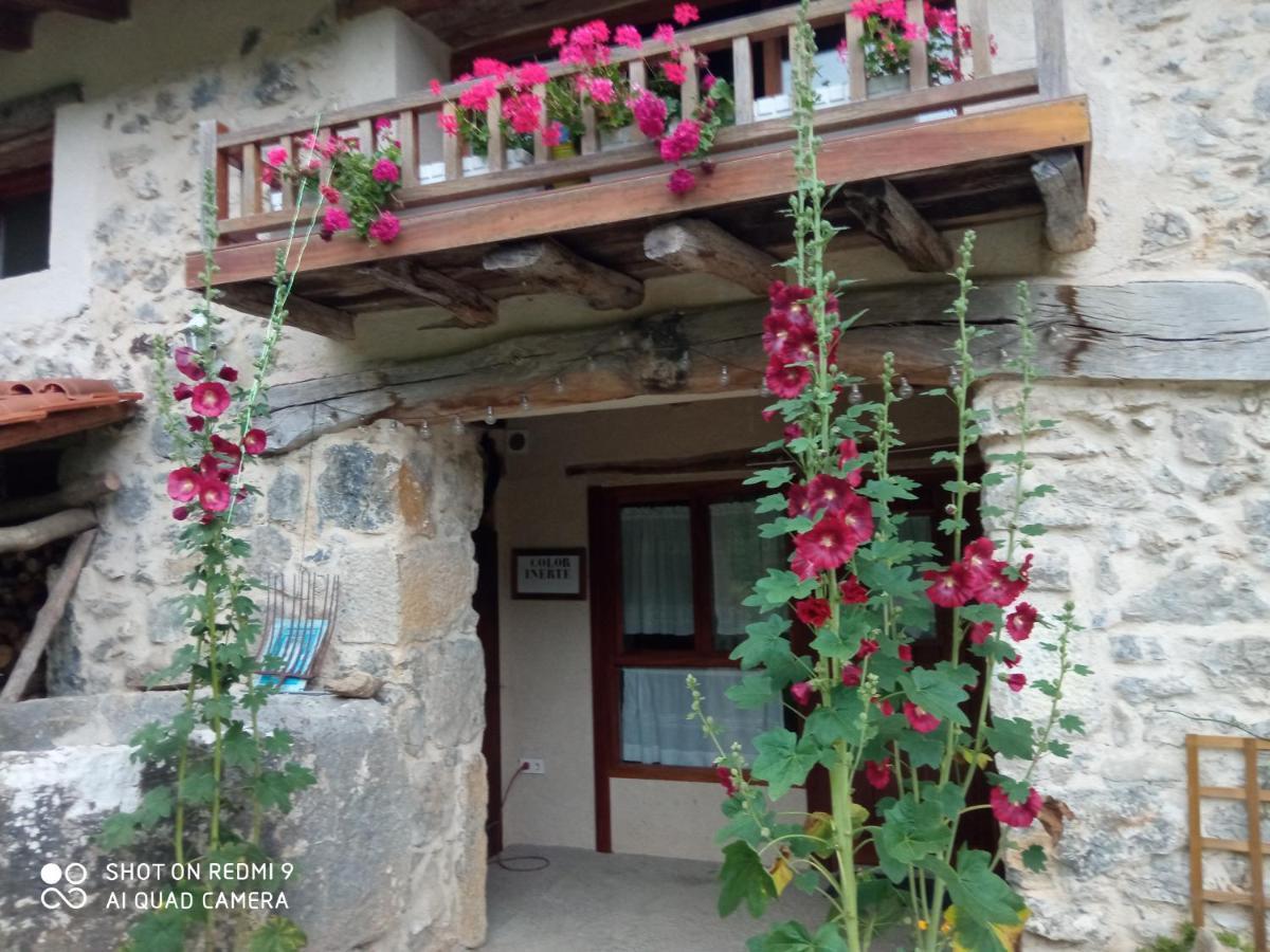 Belaustegi Turismo Rural Ispáster Exteriör bild