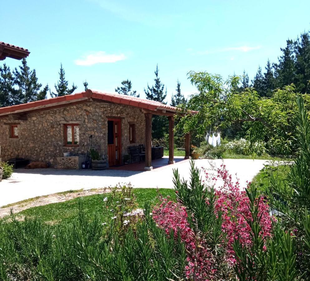 Belaustegi Turismo Rural Ispáster Exteriör bild
